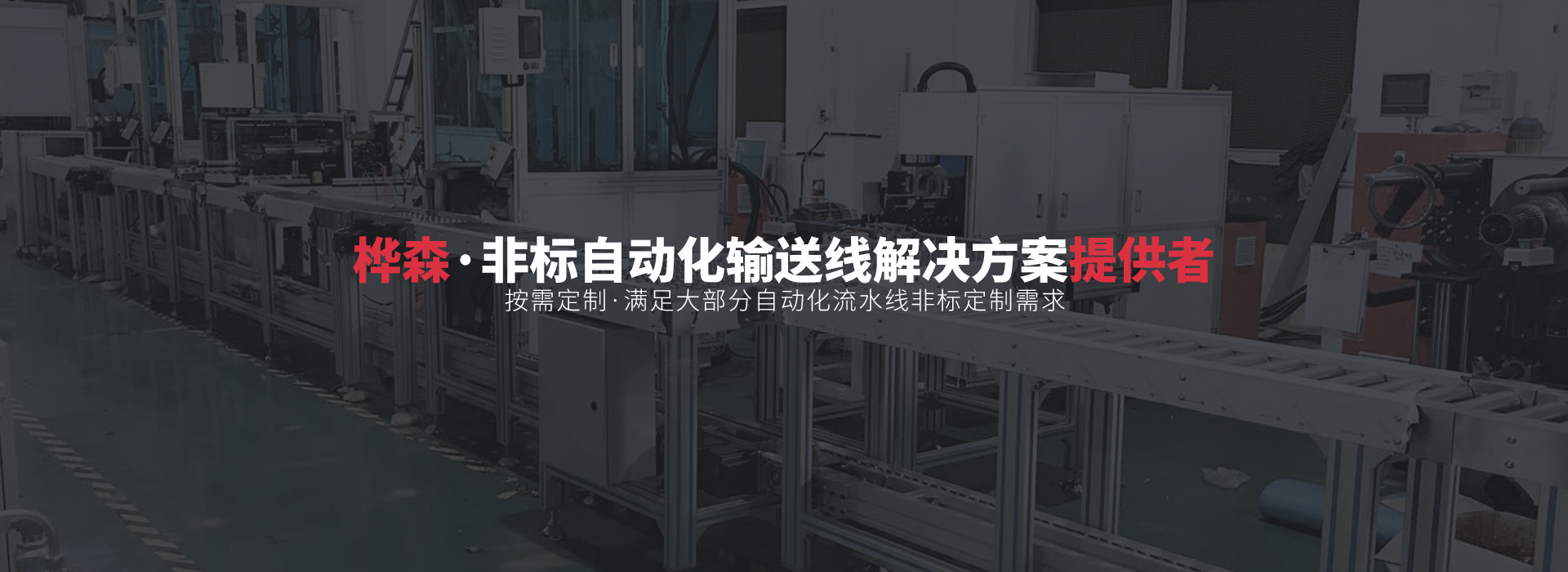 常州樺森自動(dòng)化科技有限公司